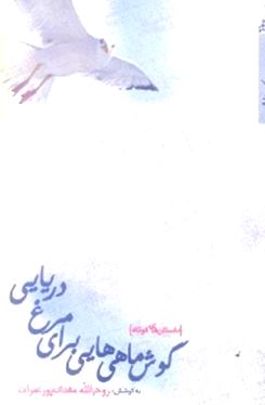 گوش‌ماهی‌هایی برای مرغان دریایی