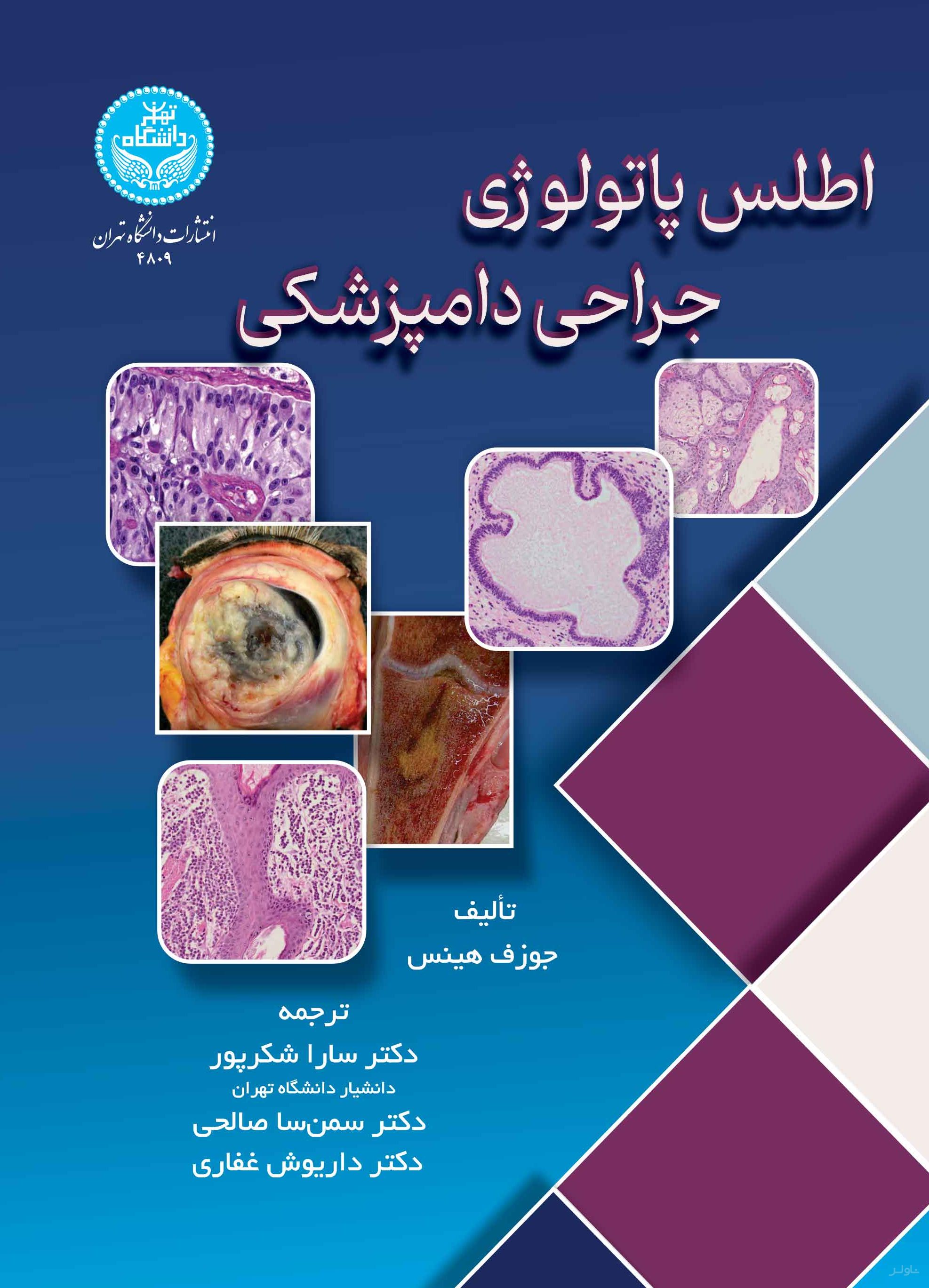 چیزی وحشی