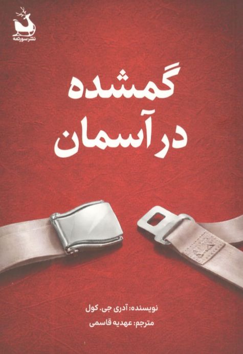 گمشده در آسمان