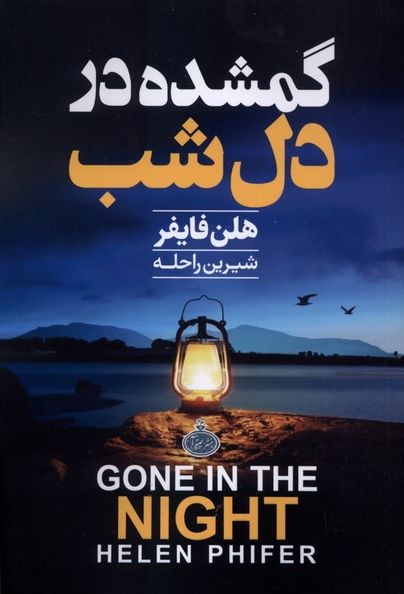 گمشده در دل شب