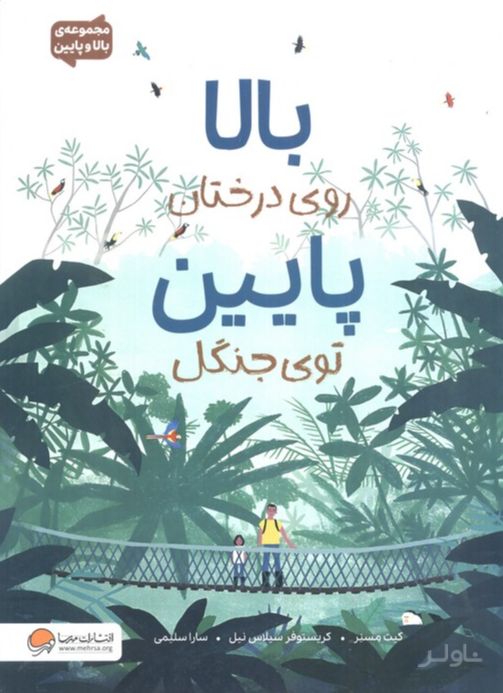 بالا روی درختان پایین توی جنگل