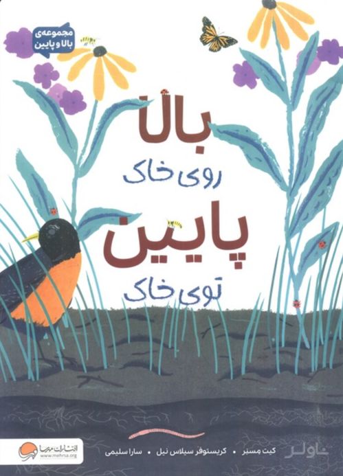 بالا روی خاک پایین توی خاک