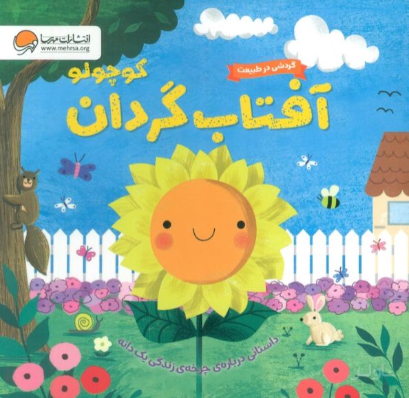 آفتاب گردان کوچولو