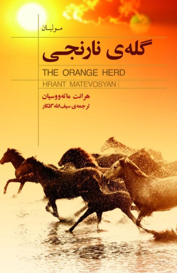 گله‌ی نارنجی