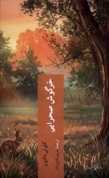 خرگوش صحرایی