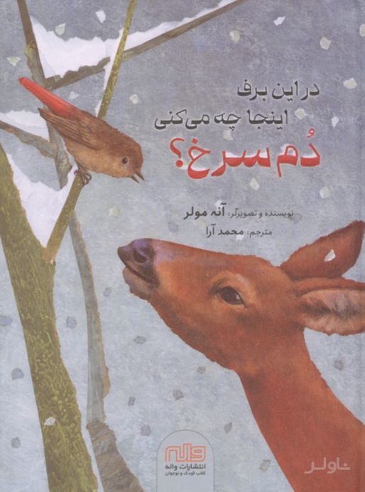 در این برف اینجا چه می کنی دم سرخ؟
