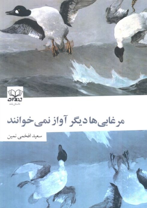 مرغابی‌ها دیگر آواز نمی‌خوانند