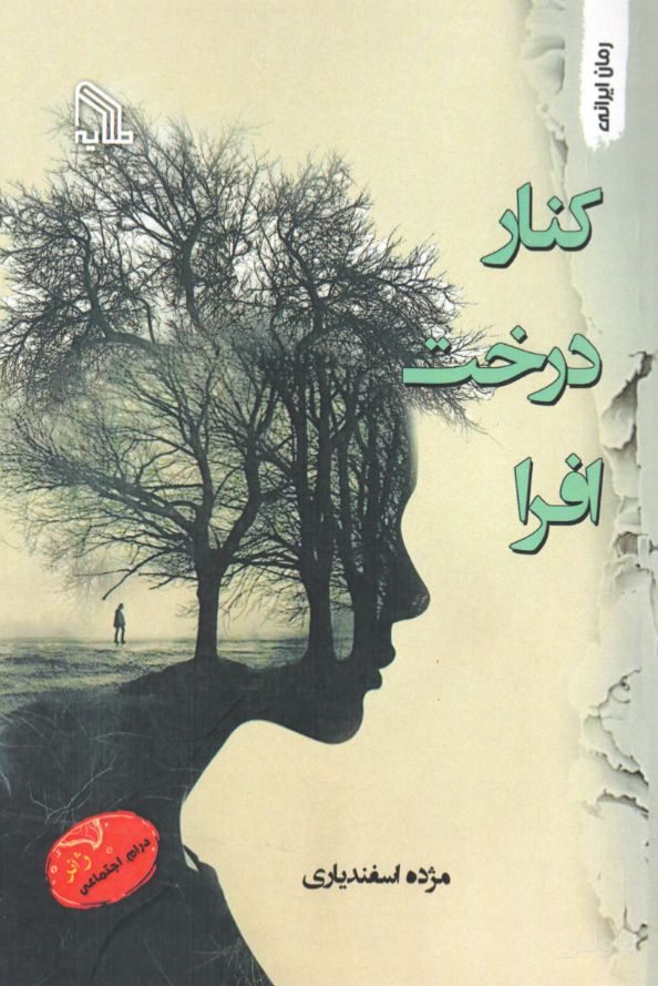 کنار درخت افرا