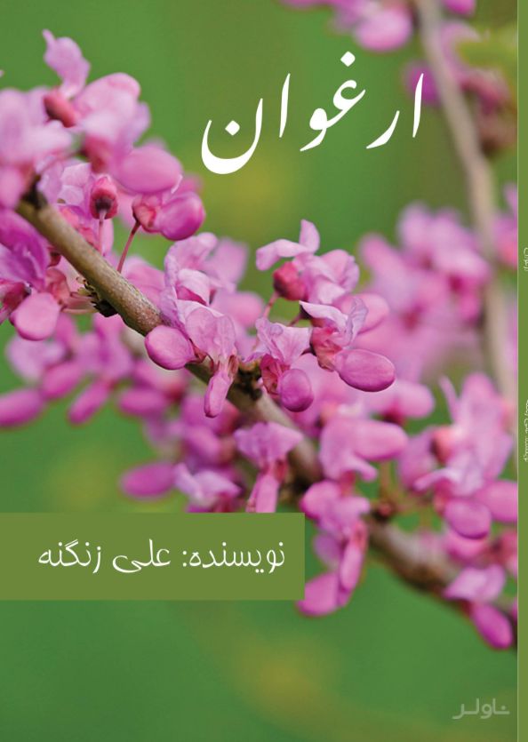 ارغوان