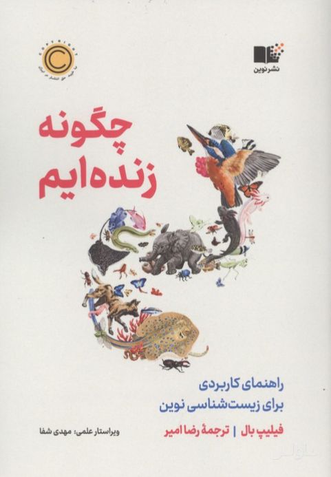 چگونه زنده ایم