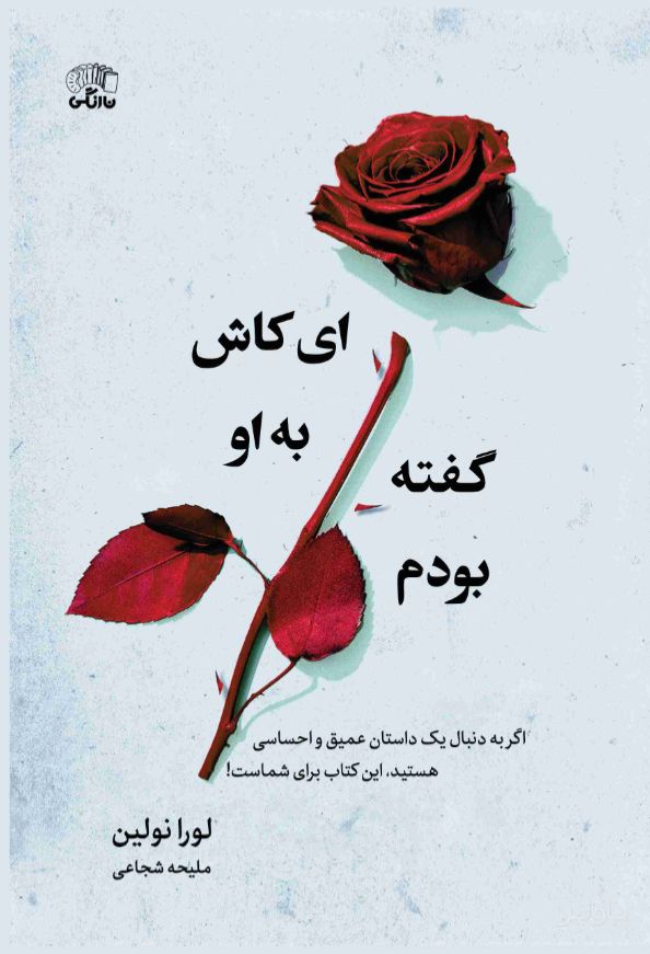 ای کاش به او گفته بودم