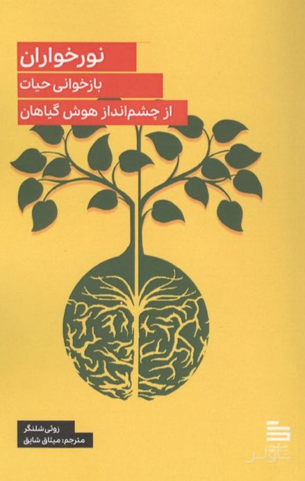 نورخواران