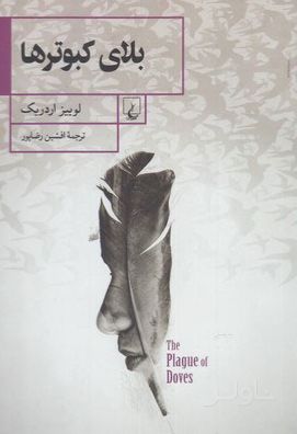 بلای کبوترها