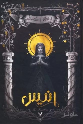 انیس