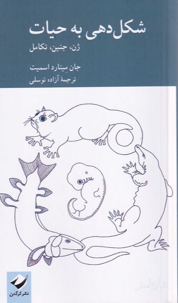 شکل‌دهی به حیات