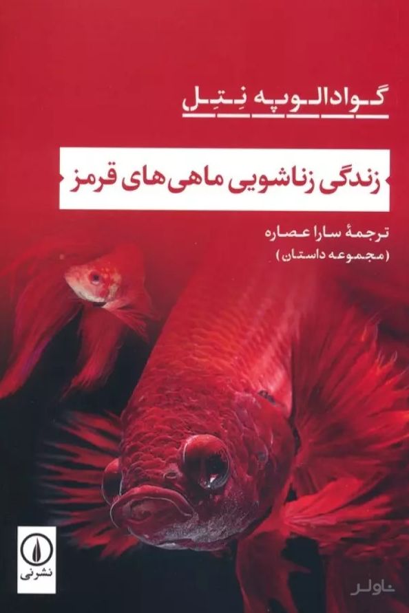زندگی زناشویی ماهی های قرمز