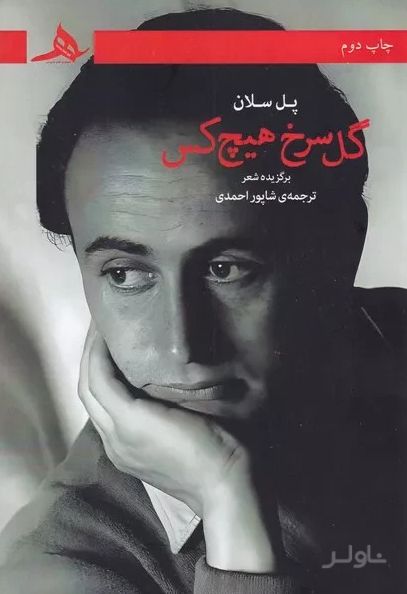 گل سرخ هیچ‌ کس