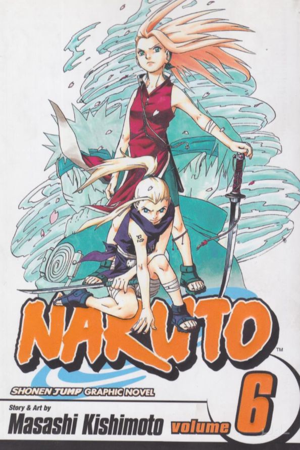 Naruto, Vol. 6: Predator