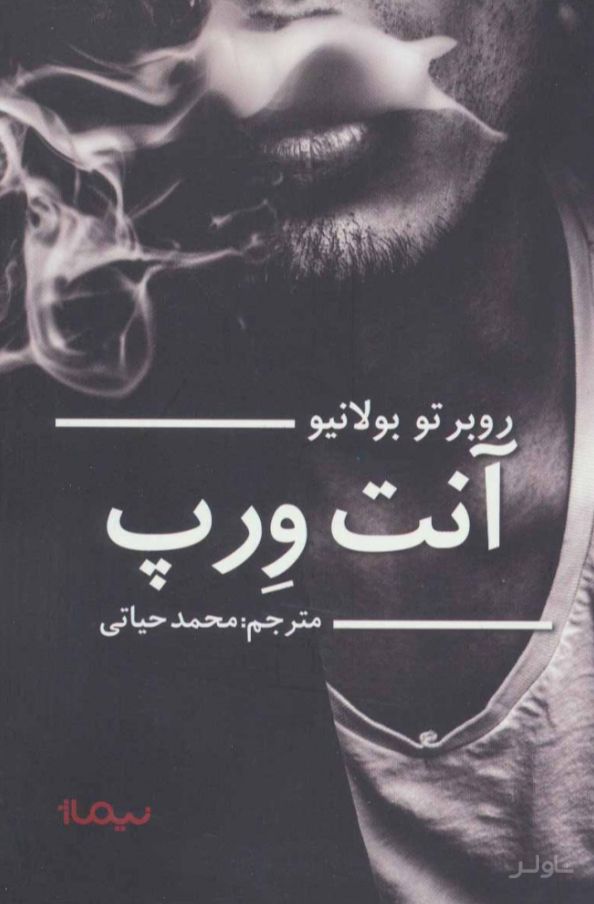 آنت ورپ