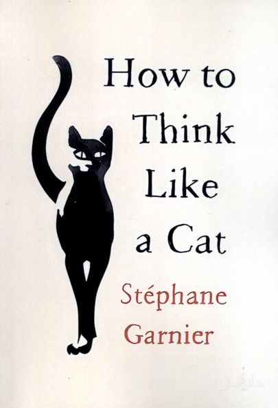 How to Think Like a Cat
