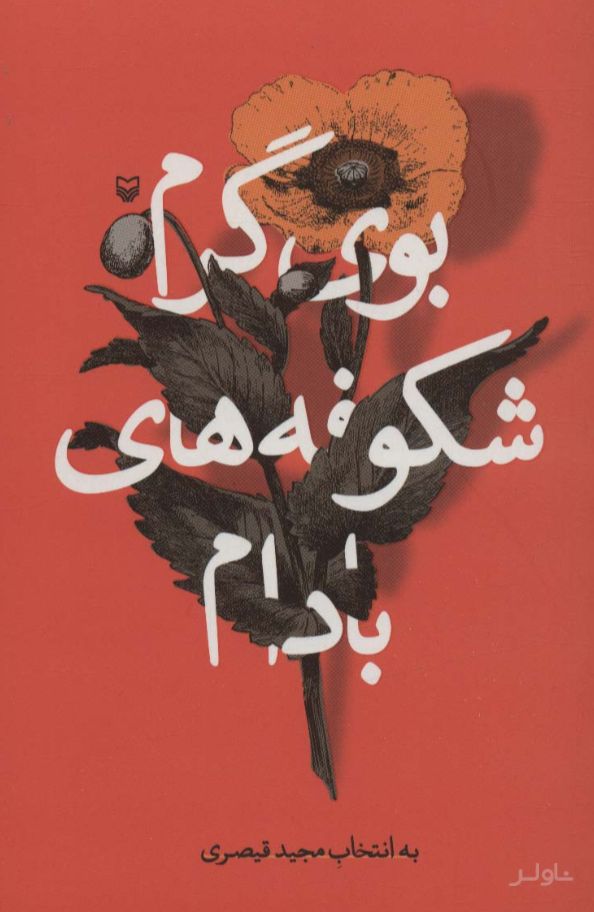 بوی گرم شکوفه های بادام