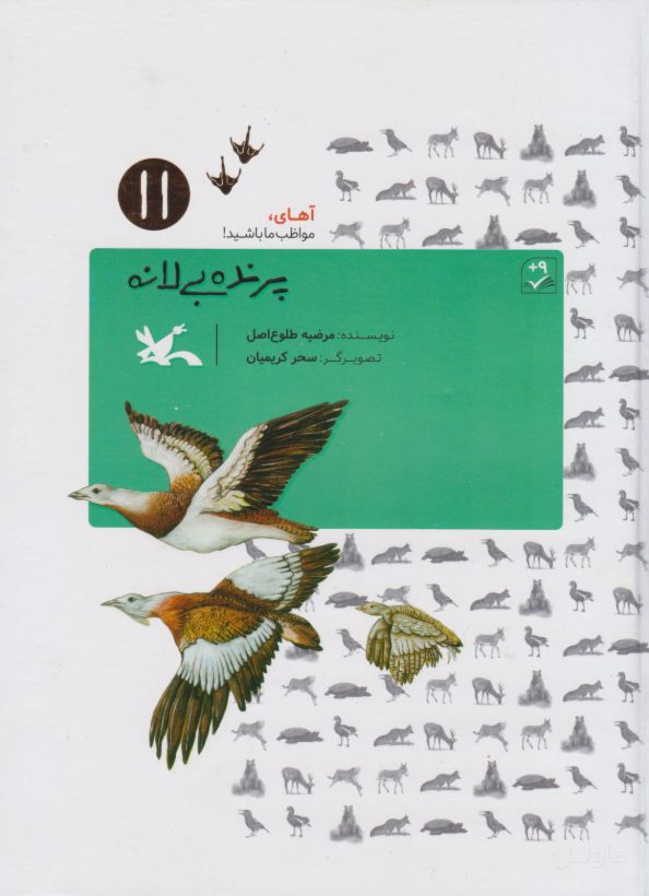 پرنده بی لانه