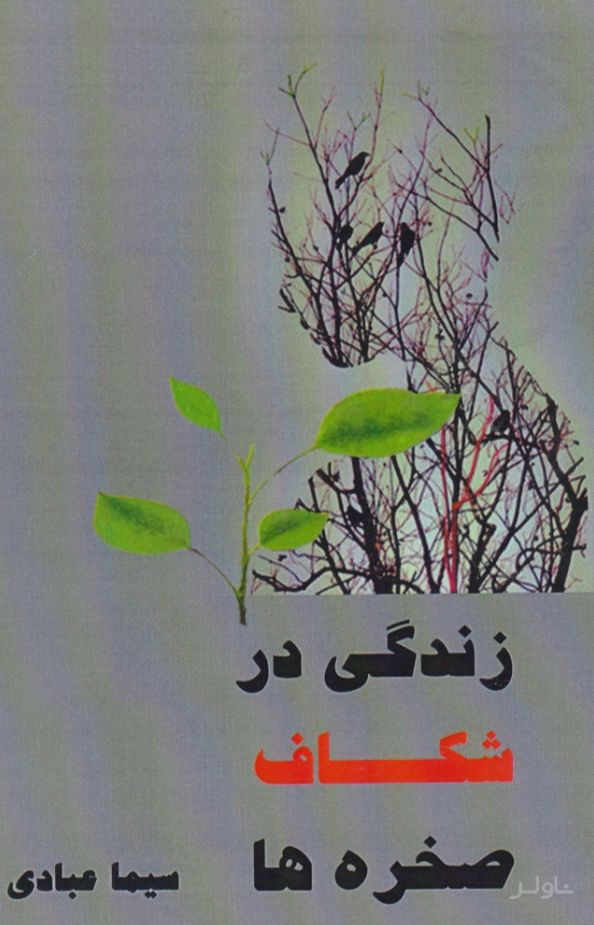 زندگی در شکاف صخره ها