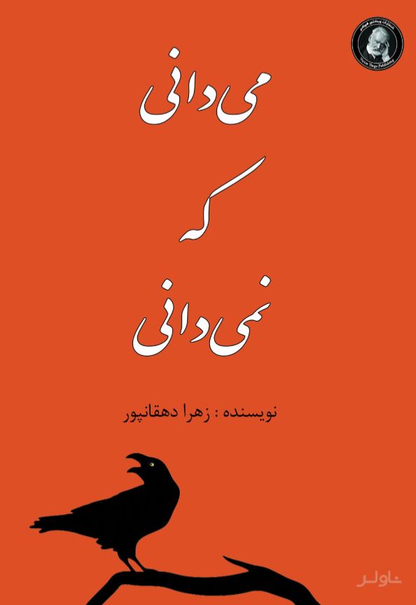 می دانی که نمی دانی