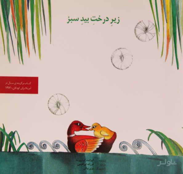 زیر درخت بید سبز