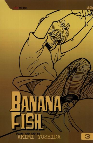 Banana Fish, Vol. 3