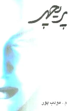 جلد کتاب پریچهر