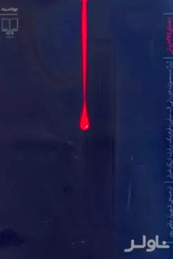 معمای کلاه فروش