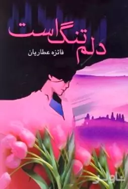 دلم تنگ است