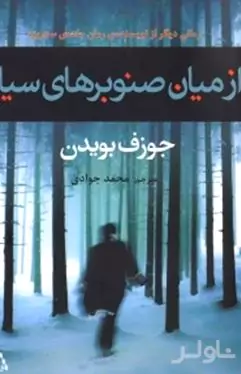 از میان صنوبرهای سیاه