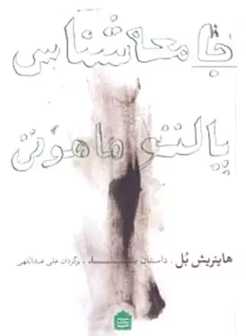 جامعه‌شناسی پالتو ماهوتی
