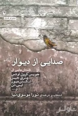 صدایی از دیوار