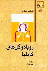 روباه و گل‌های کاملیا