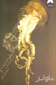 سطوح زندگی