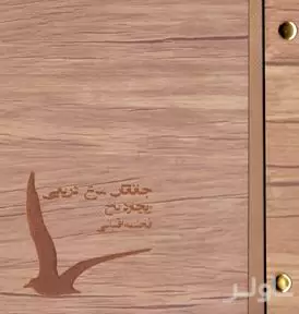 جاناتان مرغ دریایی