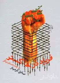 فریاد در خاکستر