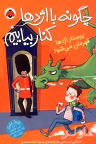 پرستار اژدها قهرمان می‌شود (مجموعه چگونه با اژدها کنار بیاییم 6)