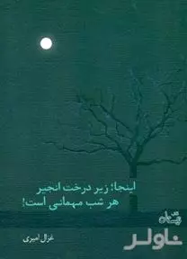 اینجا زیر درخت انجیر هر شب مهمانی است (مجمو عه داستان)