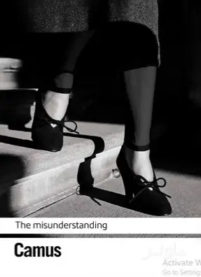 جلد کتاب The Misunderstanding